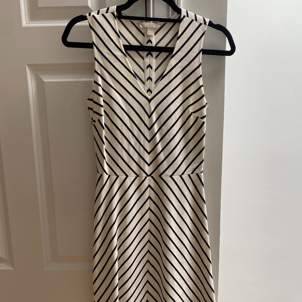 Banana Republic Striped Sleeveless A line Dress